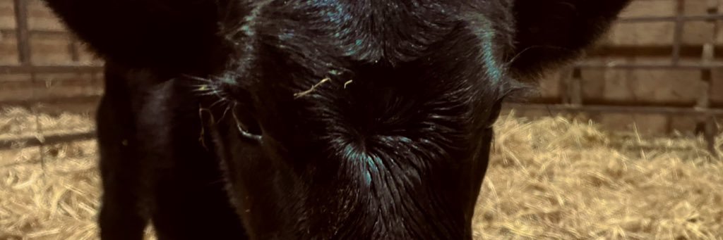 keeeendrak's profile banner image