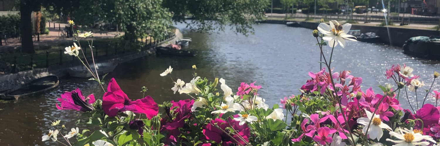 brooklyn murray banner