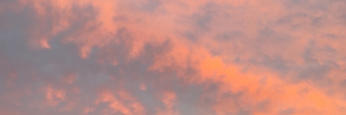 nipy01's profile banner image