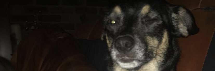 CFuller_'s profile banner image