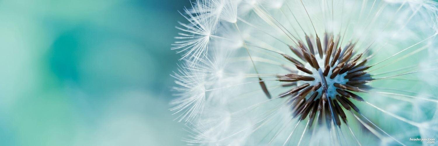 kathiematic's profile banner image