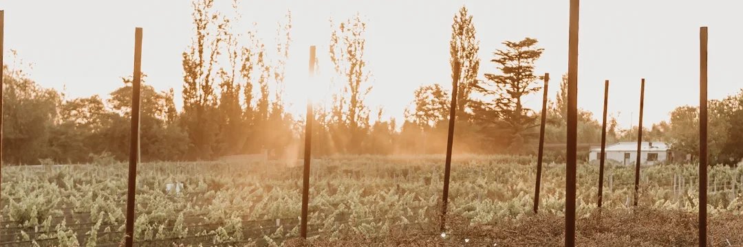 andreserr24's profile banner image