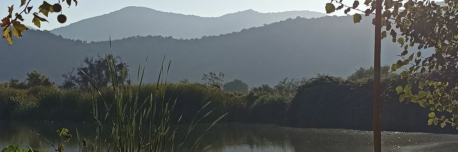 Marciuk26's profile banner image