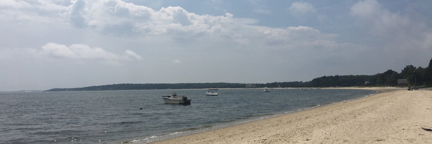 Lauren Scopaz banner