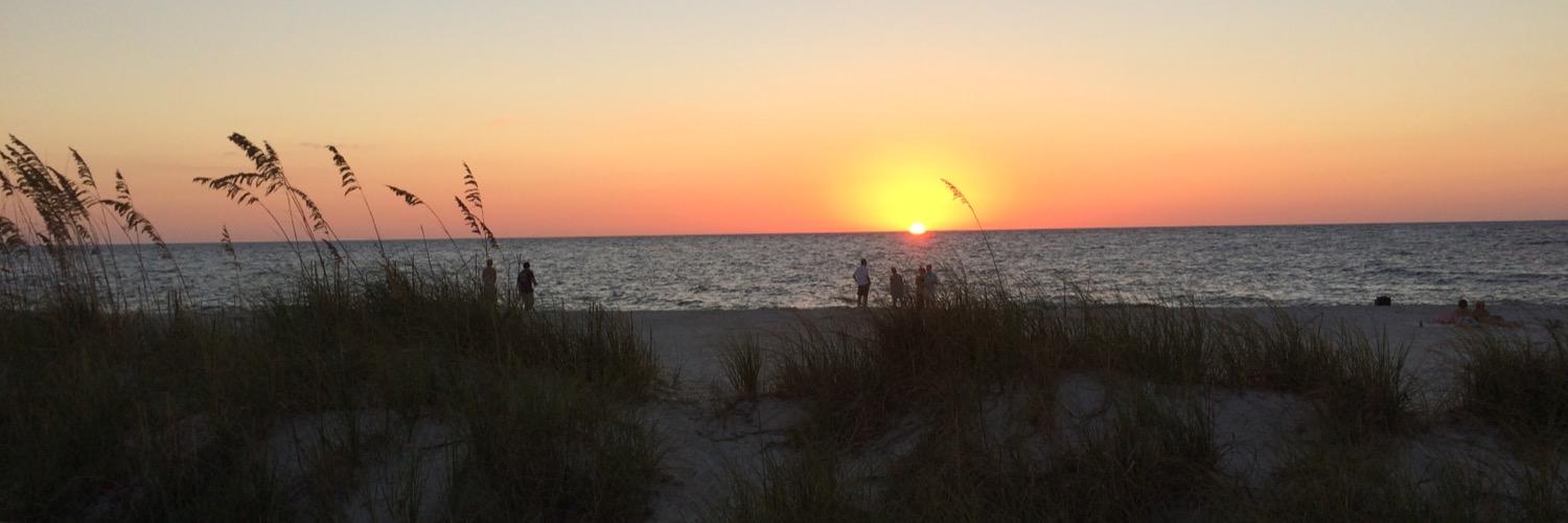 NanciTheo's profile banner image