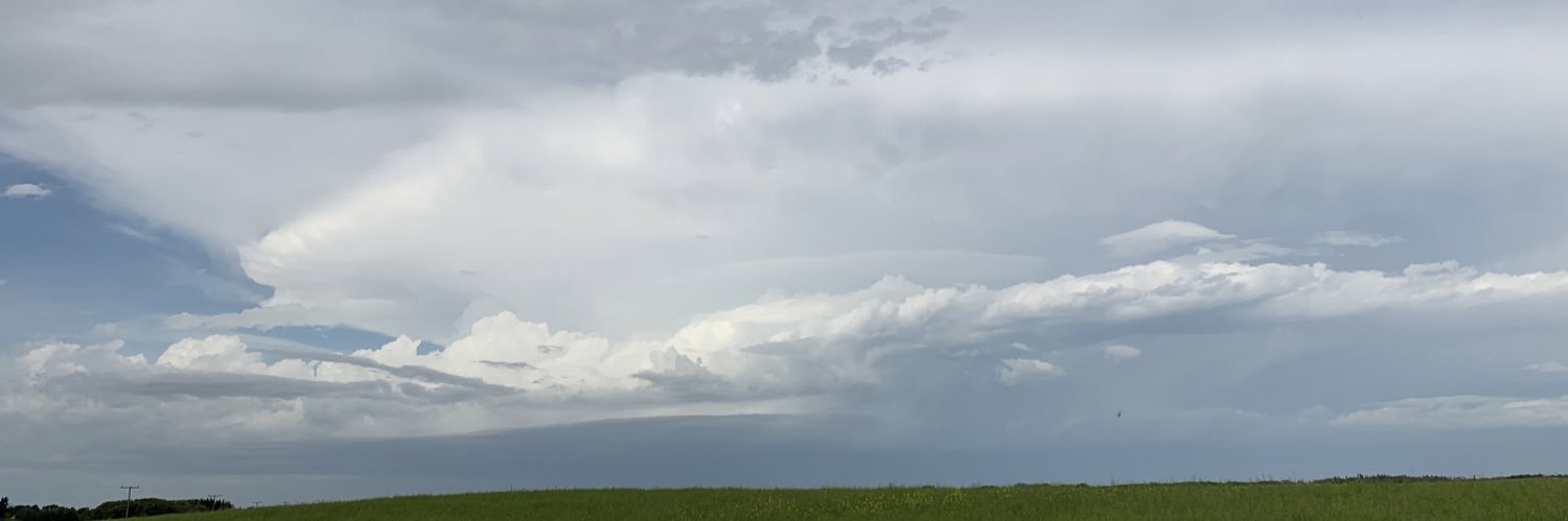 Logan Schwartz banner