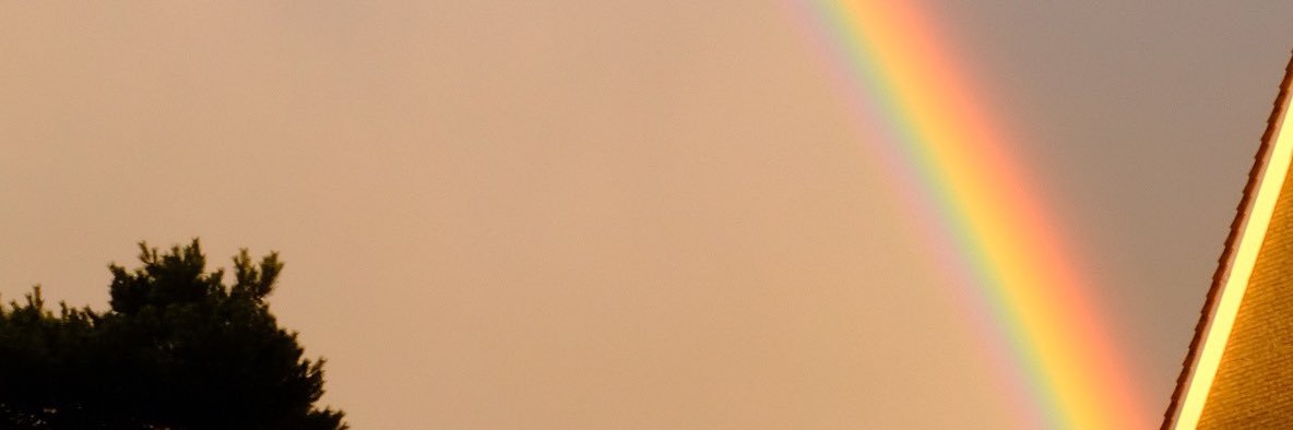 Andrea Gavinelli banner