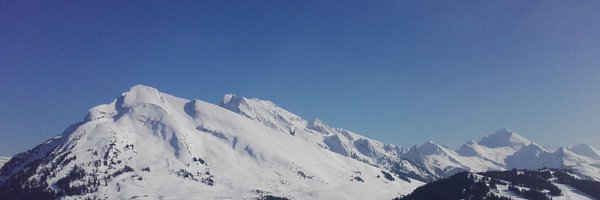 ElaineMurtagh Profile Banner