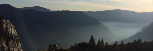 bacovnik Profile Banner