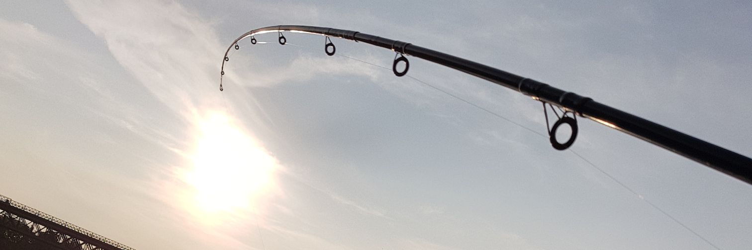 MB banner