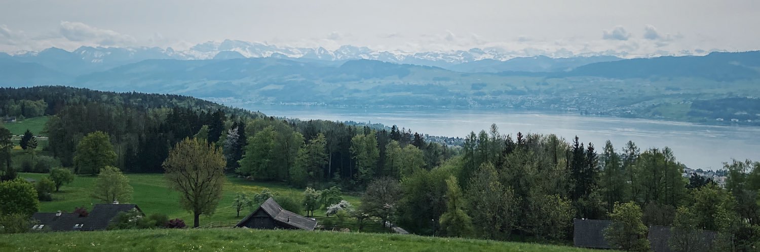 ViktorasKu's profile banner image