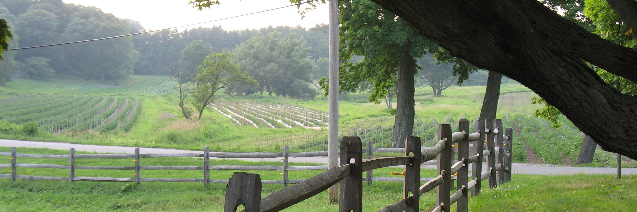 Allandale Farm banner