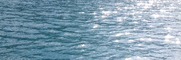Naturaleza y Paisaje🌳🦋 banner