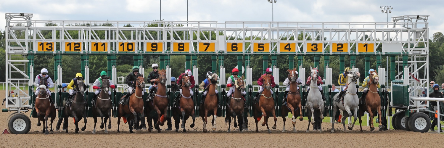 Arabian Racing Organisation banner
