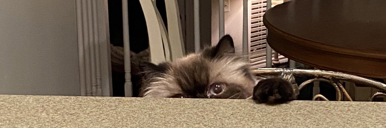 baileysutton's profile banner image