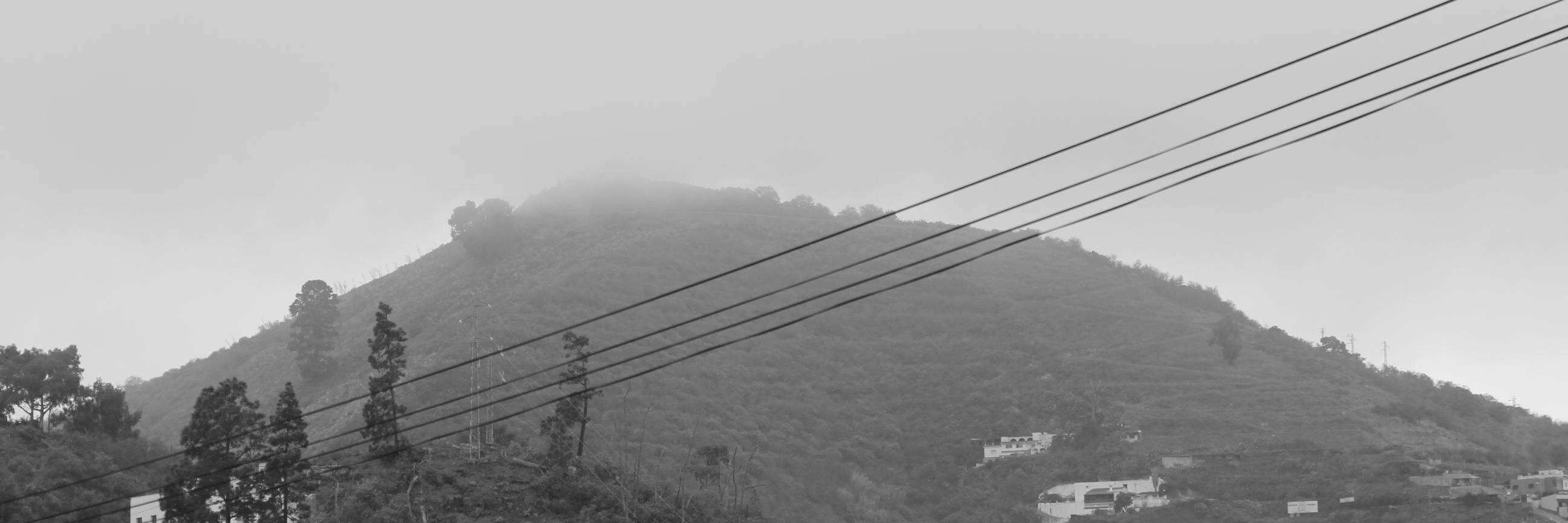 Alba Glez. de Molina banner
