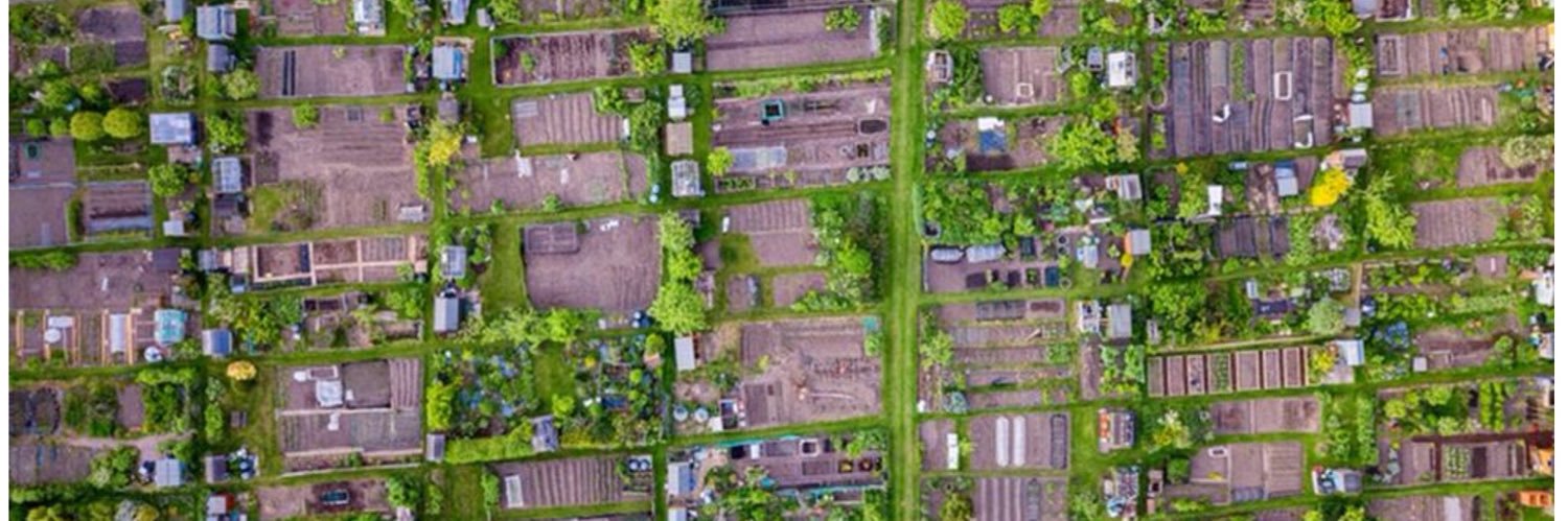 Adam Brown 🇺🇦 🇮🇷 banner