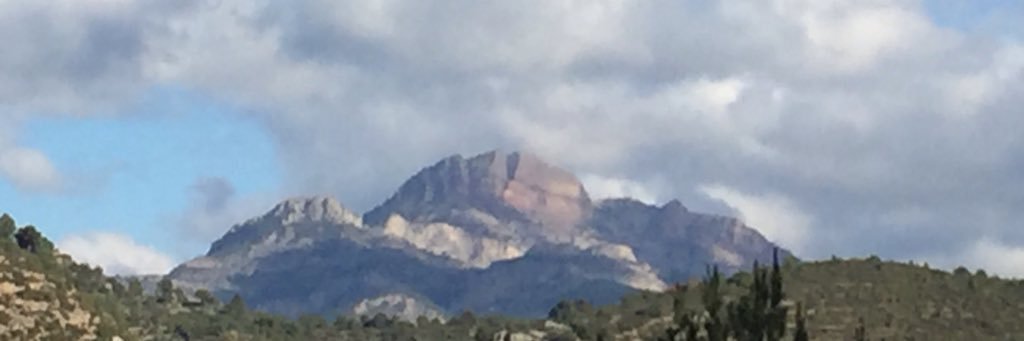 Joan Castillo banner