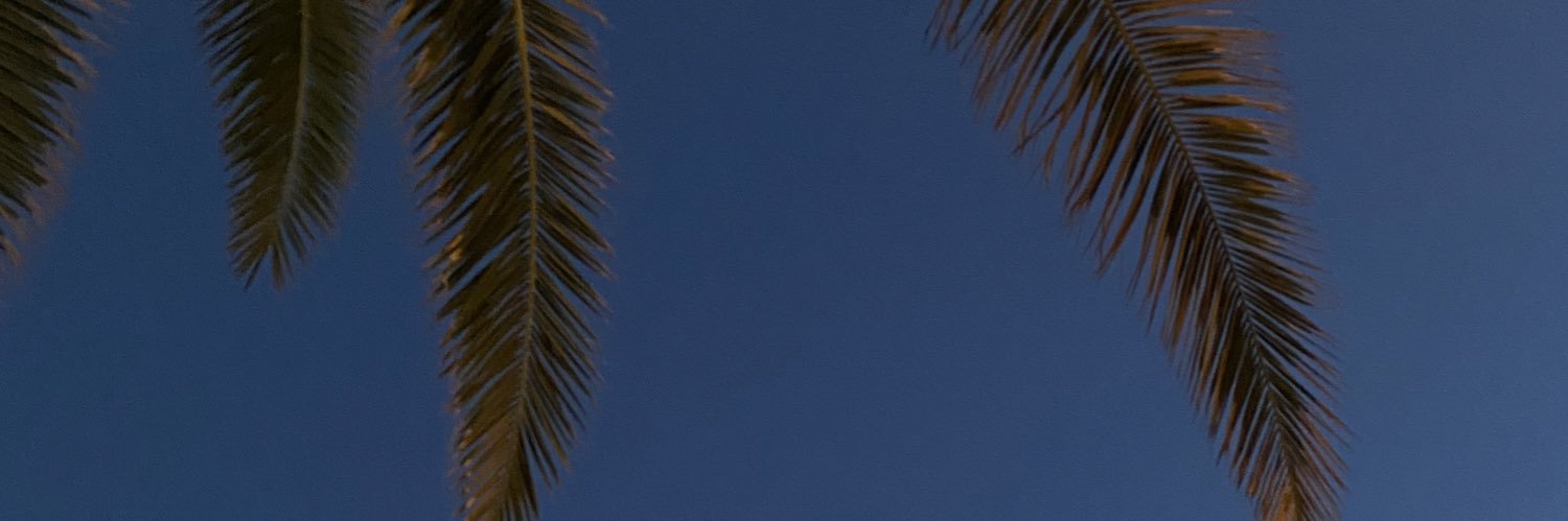 poison0vs's profile banner image