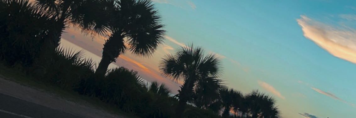 dallaasmackenzi's profile banner image