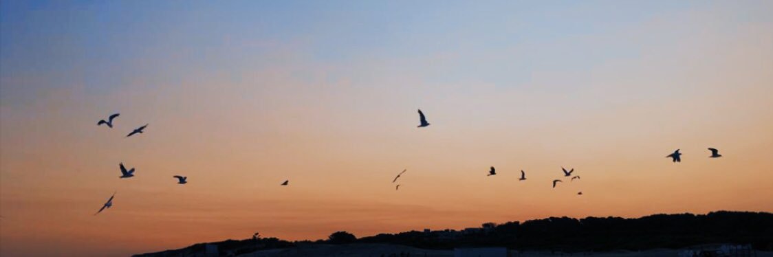 FlorLanzotti's profile banner image