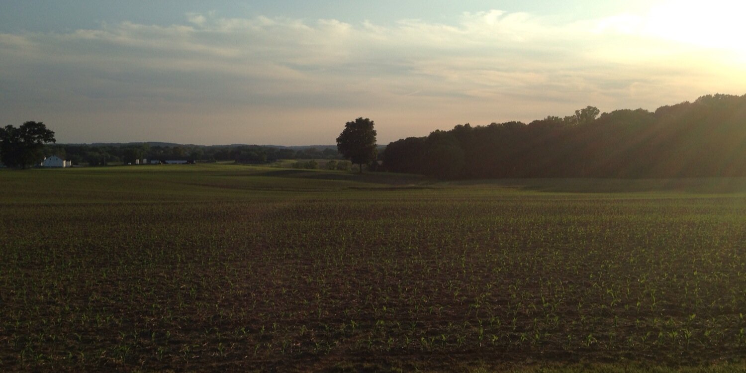 Michael McCardell banner