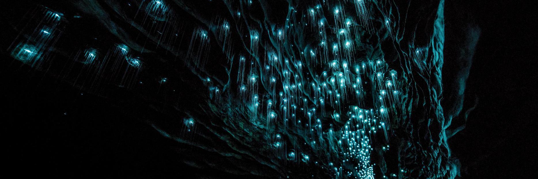 WaitomoCaves's profile banner image
