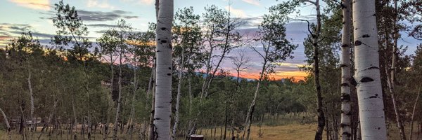 JoshOppDev Profile Banner