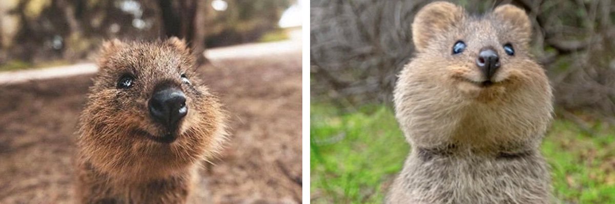 Feel Good Factor UK banner