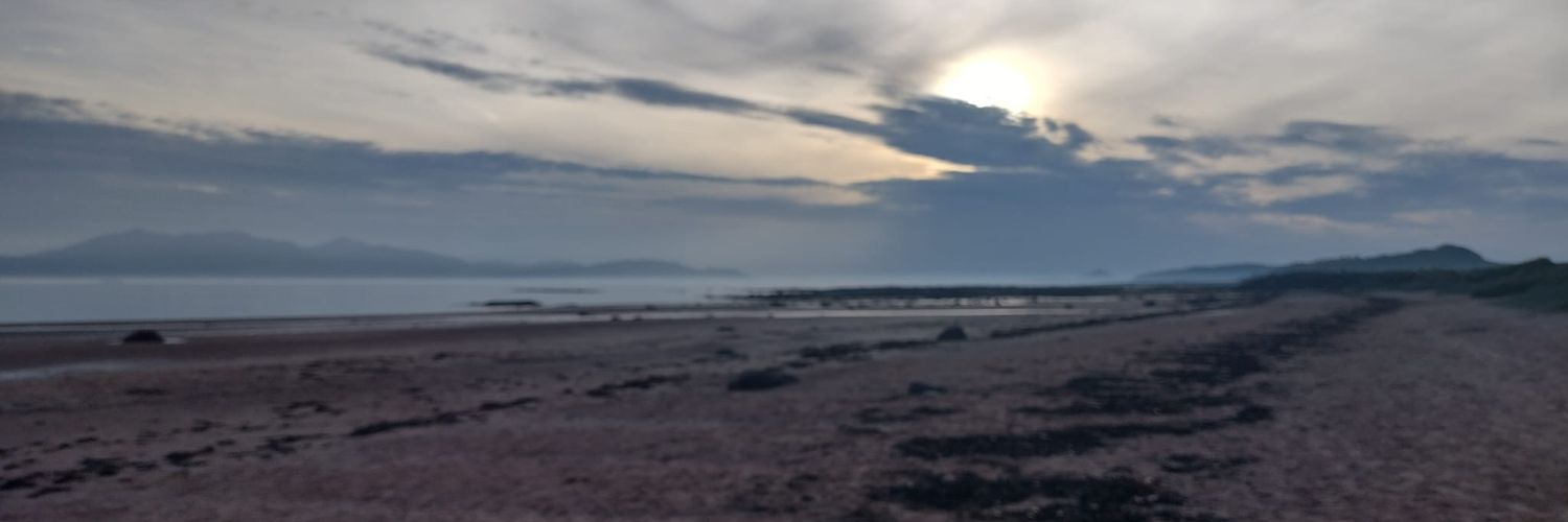 CJ-InfoManConsulting banner