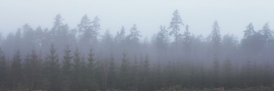 Camping Quartermaste banner