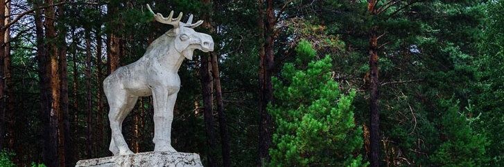 чудь поволжская🌿🇵🇸 banner