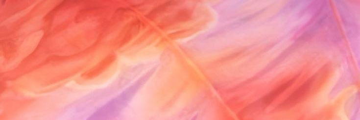 brittanylmonroe's profile banner image