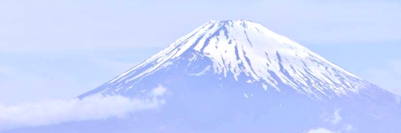 ◇るちたま日記◇ banner