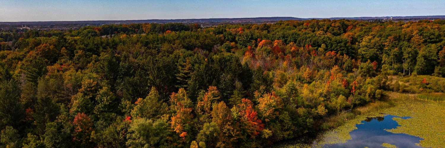 Brampton Grow Green banner