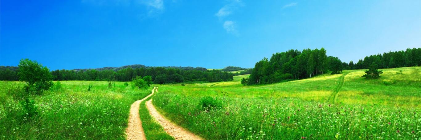 ni1oy's profile banner image