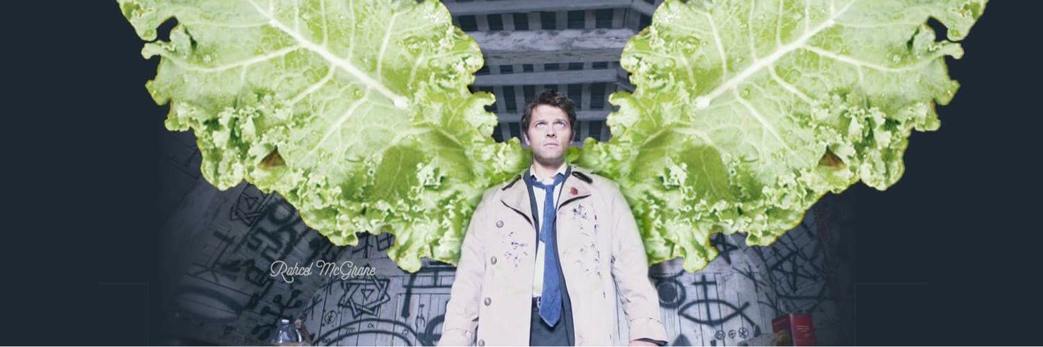TeamKalestiel's profile banner image