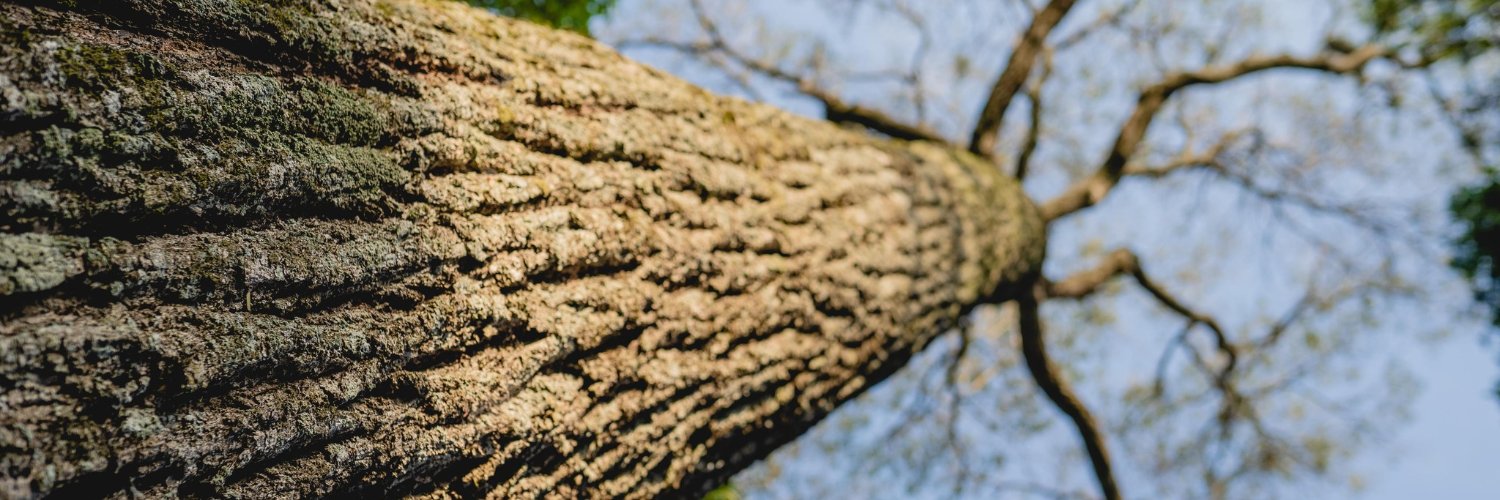 atodopulmonPY's profile banner image