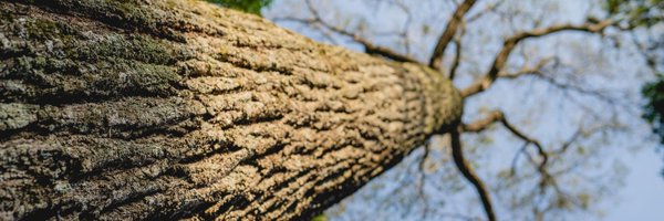 atodopulmonPY Profile Banner