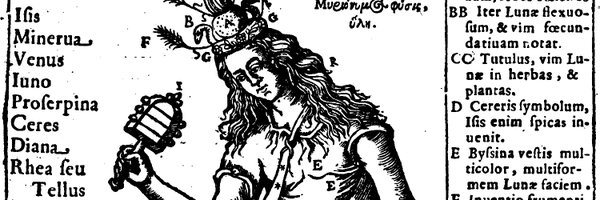 themauvedesert Profile Banner