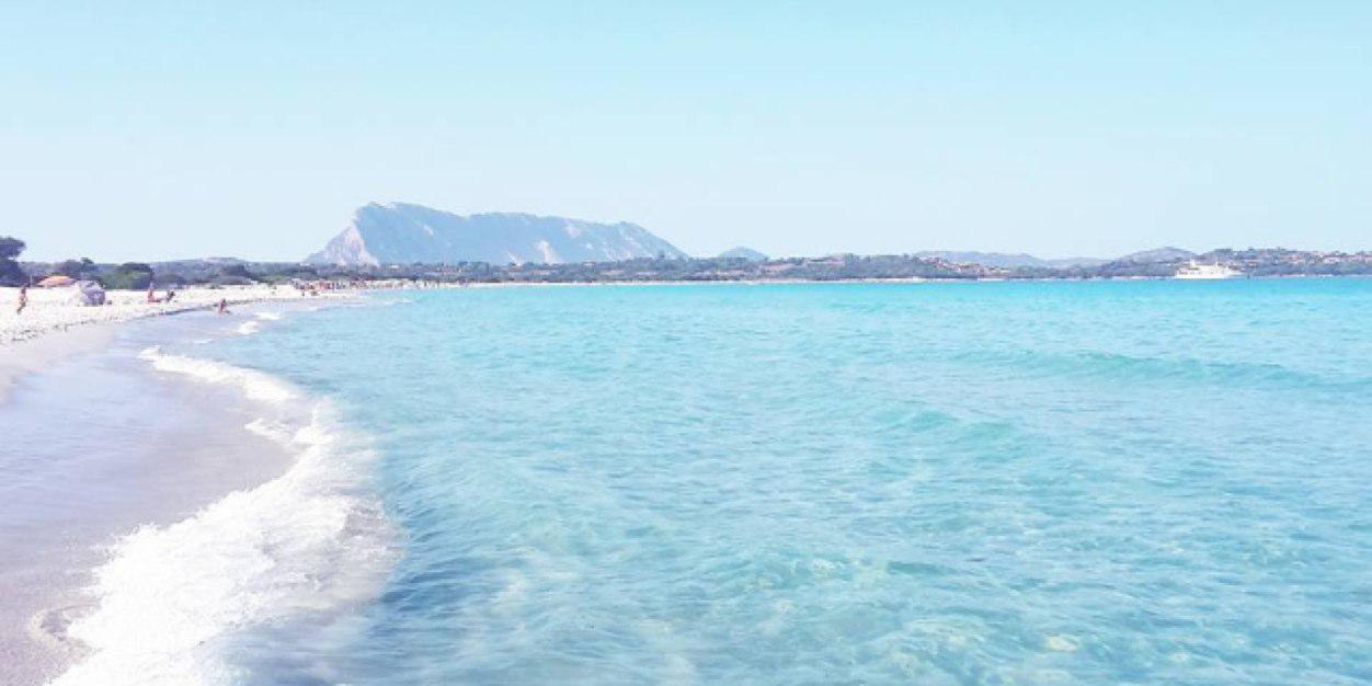 Mastrocola_Vale's profile banner image