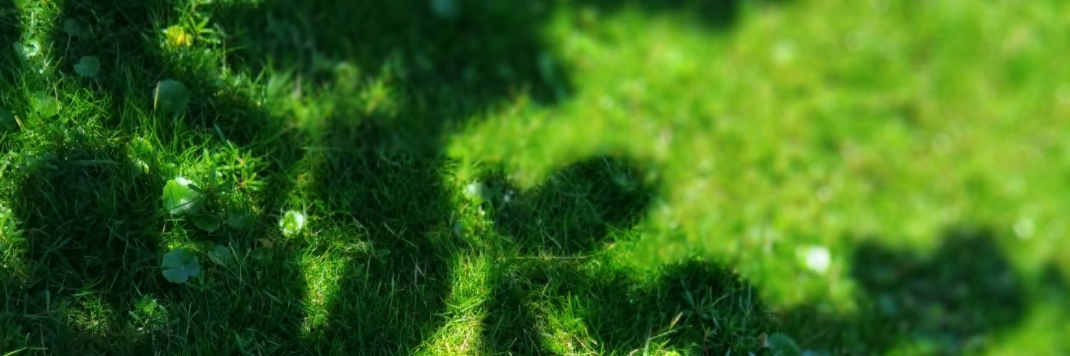 romuloapx's profile banner image