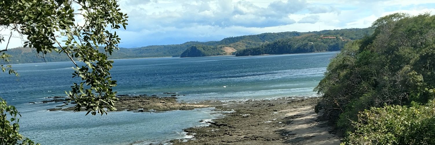 PheasantMan55's profile banner image