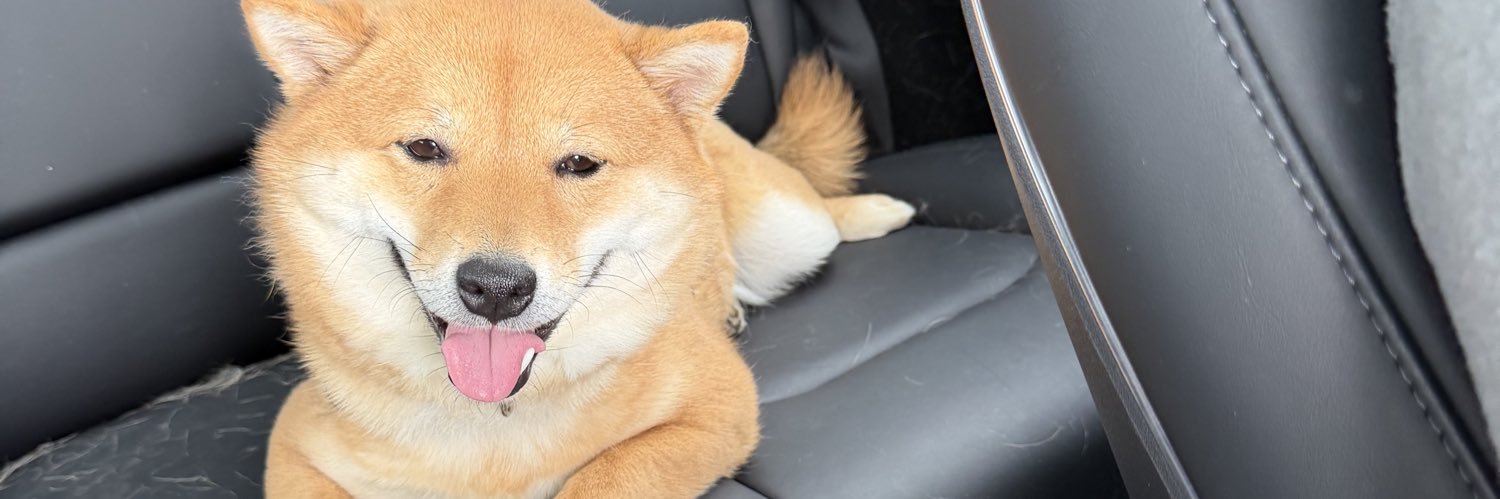 suggatits92's profile banner image
