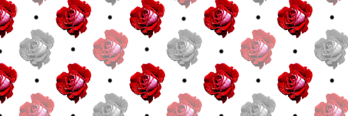agnellae's profile banner image