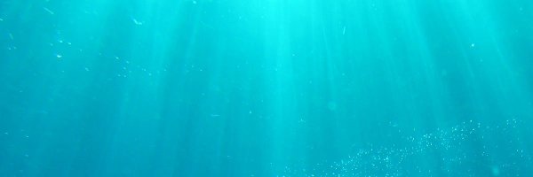 Drawangle Profile Banner