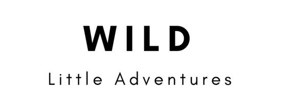 lilwanderings's profile banner image