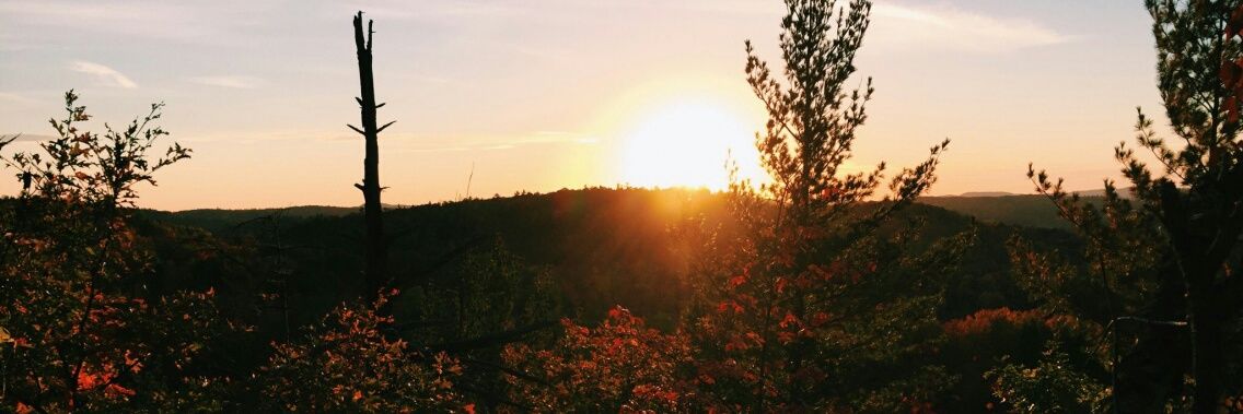 RaaquelSilvaa1's profile banner image