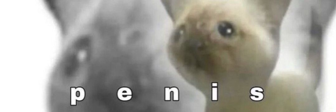 ZeruViaa's profile banner image