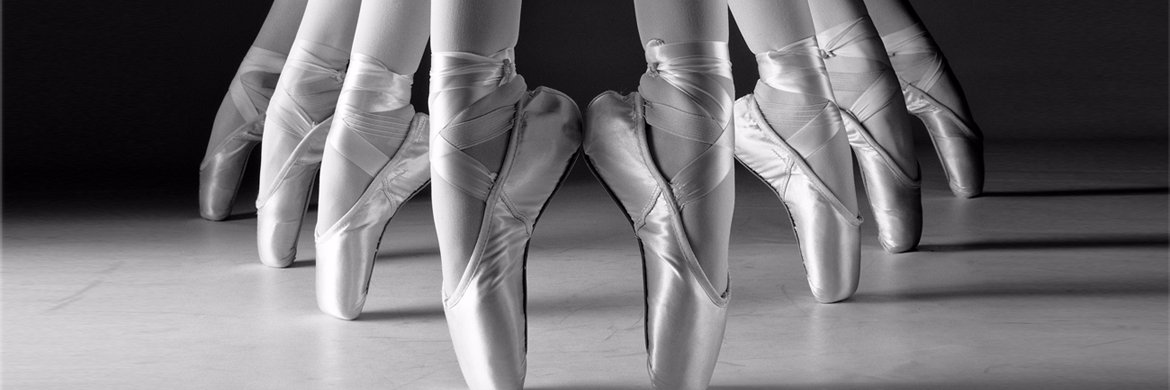 ellie_marks1's profile banner image